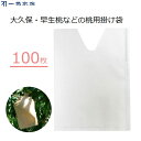 一色本店 もも掛け袋 100枚 果実袋 掛け袋 桃用 Vカット 早生桃 大久保 寒冷対策 害虫対策 鳥よけ 果樹 果実掛け袋 #7 K-7