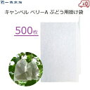 一色本店 ぶどう掛け袋 500枚 果実袋 掛け袋 ブドウ用 キャンベル ベリーA 一重掛け袋 雨よけ 雨対策 害虫対策 鳥よけ 有袋栽培 果樹 果実掛け袋 #4 K-15