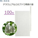 一色本店 ぶどう掛け袋 100枚 果実袋 掛け袋 ブドウ用 デラウェア 一重掛け袋 雨よけ 雨対策 害虫対策 鳥よけ 有袋栽培 果樹 果実掛け袋 #8 K-14