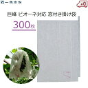 一色本店 ぶどう掛け袋 窓付き 300枚 果実袋 掛け袋 ブドウ用 巨峰 ピオーネ セロハン窓 一重掛け袋 雨よけ 雨対策 害虫対策 鳥よけ 有袋栽培 果樹 果...