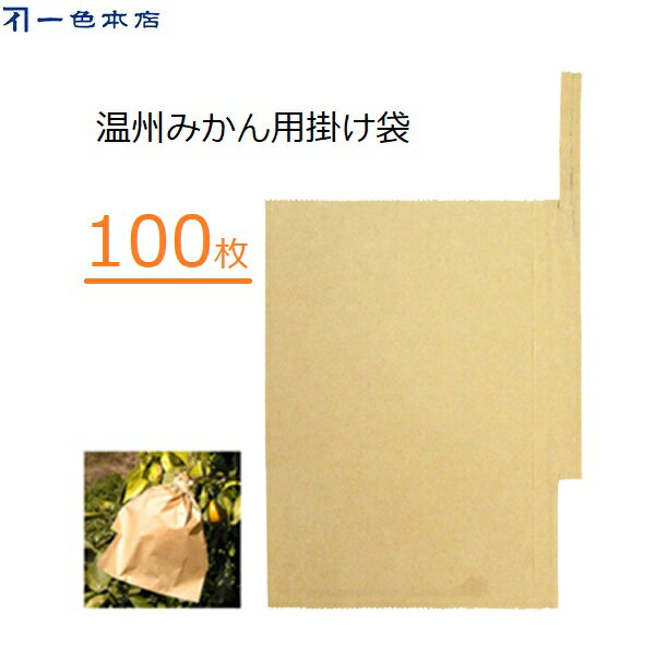 一色本店 みかん掛け袋 100枚 果実袋 掛け袋 みかん用 温州みかん 中晩柑 越冬用 一重掛け袋 雨対策 害虫対策 鳥よけ 有袋栽培 果樹 果実掛け袋 #10 K-18