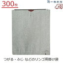 一色本店 りんご掛け袋 300枚 果実袋 掛け袋 りんご つがる ふじ 林檎 二重掛け袋 害虫対策 鳥よけ 有袋栽培 果樹 果実掛け袋 ちくまあかW6 K-23
