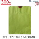 一色本店 りんご掛け袋 300枚 果実袋 掛け袋 りんご むつ 世界一 林檎 二重掛け袋 害虫対策 鳥よけ 有袋栽培 果樹 果実掛け袋 K-25