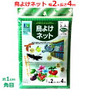 クラーク 鳥よけネット 防鳥ネット 2m×4m グリーン 緑 10mm角目 ハトよけ カラスよけ 鳥避けネット 鳥対策 ベランダ 家庭菜園 ガーデニング