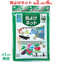 クラーク 鳥よけネット 鳥避けネット 2m×6m グリーン 緑 10mm角目 ハトよけ カラスよけ ネット 鳥対策 ベランダ 家庭菜園 ガーデニング