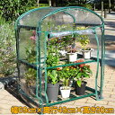 ダリヤ 家庭用 ビニールハウス 小型 簡易室温 フラワーラック 組立式 グリーンキーパー2段 #7400 家庭菜園 園芸 ガーデニング