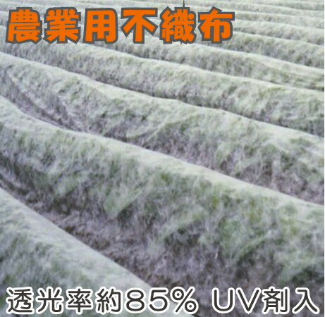 ・防霜、防鳥、防虫、保温に。 ・保温・通気・通水・透光の機能を持った農園芸専用不織布です。 ・UV剤入りで紫外線にも強く長持ちします。 ・透光率約85%です。 ・トンネル/べた掛けどちらでも使用できます。 ・サイズ：1.8m×200m 　2本セット ・透光率：約85% ・重さ：約21g/m2 ・カラー：白 ・材質:ポリプロピレン製