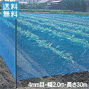 【法人様限定】防風ネット 網目4mm×2.0m×30m 風よけネット 防風網 園芸ネット 風よけ 防風 防砂 防塵 農業資材 農業用品 園芸用品 青