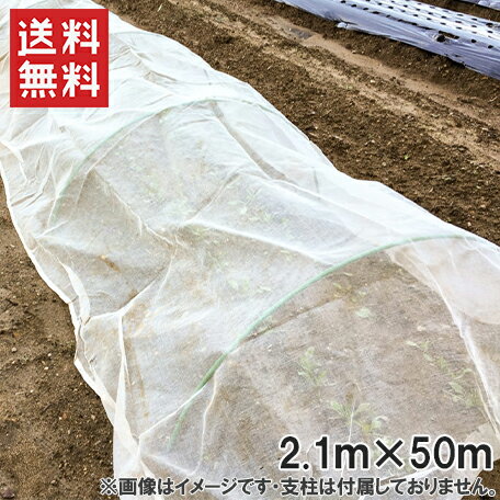 【法人様限定】防虫ネット シート 1mm目 2.1m×50m 白 虫よけネット 虫除けネット 防虫網 虫ネット 栽培ネット 園芸ネット ネット 農業資材 園芸用品 トンネル ガーデニング 1