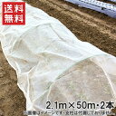 【法人様限定】防虫ネット シート 1mm目 2.1m×50m 2本セット 100m 虫よけネット 虫除けネット 防虫網 虫ネット 栽培ネット 園芸ネット ネット...