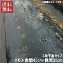 穴あきマルチ 黒マルチ 有孔マルチ 幅95cm 長さ50m 株間350mm 孔60Φ 10本セット 9235[マルチシート マルチング 家庭菜園 園芸 農業 資...