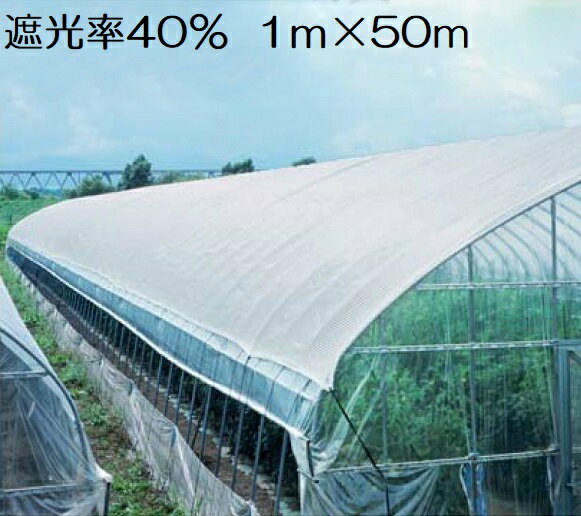 遮光ネット 白 1m×50m 遮光率40% 日よけネット 日除けネット 農業用ネット 農業用遮光シート 日よけ 日除け 農業用ネット 農業用品 園芸用品 農業用 園芸用 植物 遮光 シート