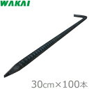若井産業 防草シート 押さえピン 異形 L型 アンカーピン 30cm×100本 シート杭 固定ピン 押え杭 Lピン 釘 植生マット 植生シート