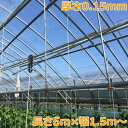 農POフィルム バツグン5 厚さ0.15mm 長さ5m 幅1.5m ビニールハウス 自作 温室 ビニールトンネル トンネル栽培 家庭菜園