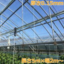 農POフィルム バツグン5 厚さ0.15mm 長さ5m 幅2m ビニールハウス 自作 温室 ビニールトンネル トンネル栽培 家庭菜園