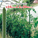 セキスイ イボ竹 支柱 イボ付き 16mm×長さ1.2m 50本セット 太さ16mm 園芸支柱 ポール 誘引 露地栽培 ビニールハウス ハウス資材 耐候性 畑 農業 園芸 資材 積水樹脂