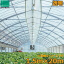 ビニールハウス 農ビ 透明 1.5×20m 0.1mm厚 農業用ビニール サイドビニール トンネルシート フィルム ビニールハウス 防風 保温 風よけ 霜よけ
