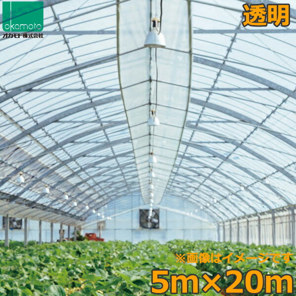 ビニールハウス 農ビ 透明 5×20m 0.1mm厚 農業用ビニール トンネルシート フィルム ビニールハウス 防..