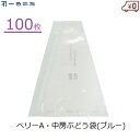 一色本店 ぶどう三角袋(中) 100枚 ぶどう 出荷袋 ブルー 果実袋 ブドウ用 ベリーA 中房 出荷用 セロハン セロファン 陳列袋 包装 中房品種 K-33