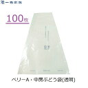 一色本店 ぶどう三角袋(中) 100枚 ぶどう 出荷袋 透明 果実袋 ブドウ用 ベリーA 中房 出荷用 セロハン セロファン 陳列袋 包装 中房品種 K-32