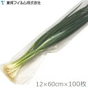 東邦 ネギ袋 野菜用 出荷袋 120×600mm 100枚入り #25 FG無地袋 野菜袋 長ネギ ニラ 長物野菜 透明 フィルム