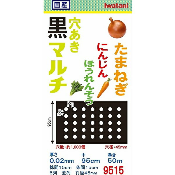 岩谷マテリアル マルチシート 95cm×50m 厚さ0.02mm 日本製 黒マルチ 穴あきマルチ 穴あきマルチシート 黒マルチシート 農業用マルチ 農業用ビニール 穴あき 玉ねぎ ブラック 2