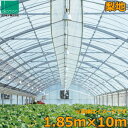 ビニールハウス 農ビ 梨地 1.85×10m 0.1mm厚 トンネルシート 農業用ビニール フィルム ビニールハウス 防風 保温 風よけ 霜よけ