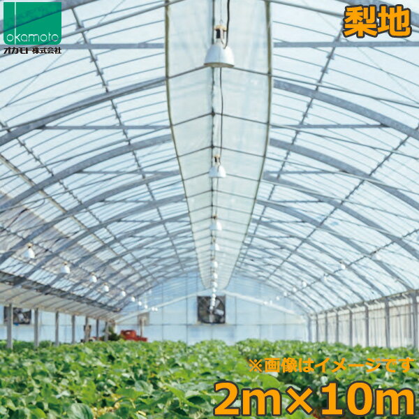 ビニールハウス 農ビ 梨地 2×10m 0.1mm厚 トンネルシート 農業用ビニール フィルム ビニールハウス 防風 保温 風よけ 霜よけ