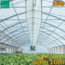 ビニールハウス 農ビ 梨地 6×10m 0.1mm厚 トンネルシート 農業用ビニール フィルム ビニールハウス 防風 保温 風よけ 霜よけ