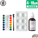 竹村電機 比色式 ペーハー測定器 土壌 日本製 pH計 ph検定器 DM-2 ph測定器 ph土壌測定器 プロ仕様 農業機械