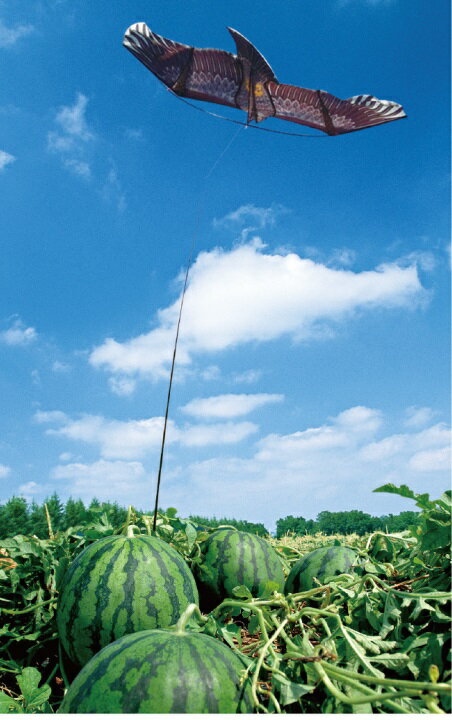 ���� Ȫ Ļ�褱 ������ Ļ�褱���å� �Ĥ�� Ļ�ɤ��������� Ļ�褱�к� ������ ���饹 ���� ���� ���Ȼ��