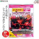 花ごころ シャコバサボテンの土 5L×8袋 40L 培養土 土 多肉植物 鉢植え 室内 肥料配合 家庭用 園芸 ガーデニング