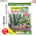 花ごころ 金のなる木 アロエの土 12L×4袋 48L 培養土 専用 土 多肉植物 肥料配合 鉢植え 家庭用 園芸 ガーデニング