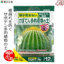 花ごころ サボテン多肉植物の土 12L×4袋 48L 培養土 土 さぼてん 多肉植物 シャコバサボテン クジャクサボテン 鉢植え 室内 ゼオライト配合 家庭用