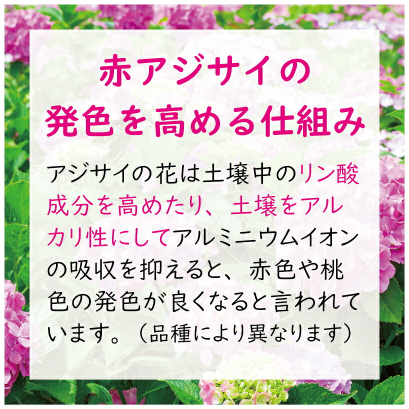 東商 紫陽花 肥料 赤アジサイの肥料 500g あじさい 苗 園芸 ガーデニング