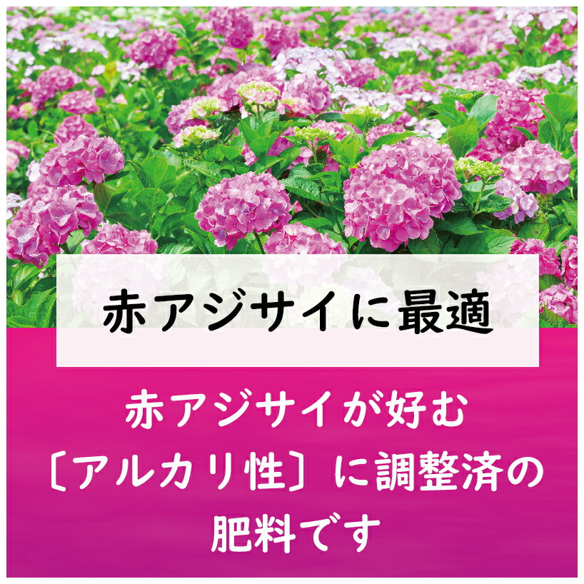 東商 紫陽花 肥料 赤アジサイの肥料 500g あじさい 苗 園芸 ガーデニング