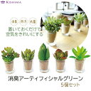 キシマ フェイクグリーン 造花 リトルサキュレントファミリー 消臭アーティフィシャルグリーン 5個セット 消臭効果 ミニサイズ フェイク多肉植物 消臭グッズ 抗...