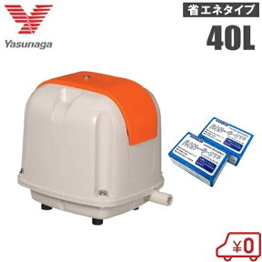 安永 浄化槽ブロアー 40L ＋ 浄化槽塩素剤 2箱セット AP-40P エアーポンプ 浄化槽ポンプ ブロワー バイオシーダ