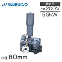 ツルミポンプ ルーツブロワー RSR-80 5.5kw 三相200V 80mm 鶴見ポンプ エアーポンプ ブロアー 曝気ブロワ エアポンプ