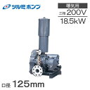 ツルミポンプ ルーツブロワー RSR-125 18.5kw 三相200V 125mm 鶴見ポンプ エアーポンプ ブロアー 曝気ブロワ エアポンプ