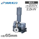 ツルミポンプ ルーツブロワー RSA-65 2.2kw 三相200V 65mm 鶴見ポンプ エアーポンプ ブロアー 曝気ブロワ エアポンプ