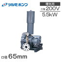ツルミポンプ ルーツブロワー RSR-65 5.5kw 三相200V 65mm 鶴見ポンプ エアーポンプ ブロアー 曝気ブロワ エアポンプ
