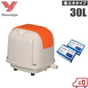 安永 浄化槽ブロアー 30L + 浄化槽塩素剤 2箱セット AP-30P エアーポンプ 浄化槽ポンプ ブロワー バイオシーダ