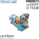 丸八ポンプ 自吸式ポンプ ステンレス自吸式カスケードポンプ SUP-254M型 25mm 0.75kw 200V モーター付 給水ポンプ 移送ポンプ(4)