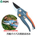 POPE 剪定ばさみ 万能バイパス剪定ばさみ 直径16mm 高耐久 安全ロック付き 剪定鋏 硬化鋼ブレード 園芸鋏 園芸ばさみ 園芸用 ハサミ
