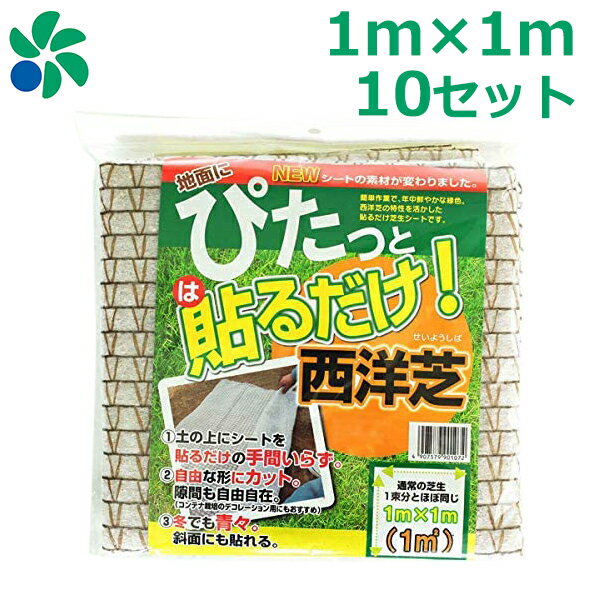 ※沖縄・離島への配送は追加送料を頂きます。 　ご注文確認後に、こちらで変更させて頂きます。 　送料表を確認しご了承の上ご注文をお願いします。 ・地面に貼るだけで簡単に一年中鮮やかな緑の芝生が実現できる、西洋芝の造成用シートです。 ・繊維のシートに種と土・肥料がサンドイッチ状にはさまれているもので、シートを地面に広げて散水すれば種まき終了です。 ・ベース部分は、自然に戻る天然素材の綿とジュート（黄麻）を使用。 ・冬場も緑を保つ西洋芝の種、肥料、土壌改良剤をベースに展着させていますので、撒きムラがありません。 ・目土や踏圧の必要がなく、初心者の方でも上手に芝生の植え付けができます。 ・施工適温は10〜25度で、夏場冬場を除けば周年施工可能です。 ・サイズ：1m×1m ・入数：10枚 ・素材：ジュート繊維（ハサミでカット可） ・芝種：クリーピングレッドフェスク・ケンタッキーブルーグラス・ベントグラスハイランド・バミューダグラス ・シート材質：分解性樹脂基材：肥料・土壌改良剤 ★貼るだけ芝生シート一覧はこちら↓ ※ 1m×1m 1平米用 の商品ページに移動します。 ※ 1m×1m 5セット 5平米用 の商品ページに移動します。 ※ 1m×1m 10セット 10平米用 の商品ページに移動します。 ※ 1m×1m 20セット 20平米用 の商品ページに移動します。