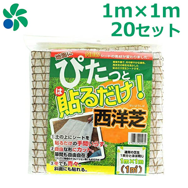 芝生 種まき 養生 育成 貼るだけ芝生シート 1m×1m 20枚セット (20平米分) 植え替え 庭 雑草対策