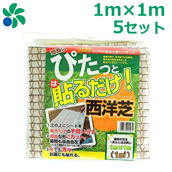 芝生 種まき 養生 育成 貼るだけ芝生シート 1m×1m 5枚セット (5平米分) 植え替え 庭 雑草対策