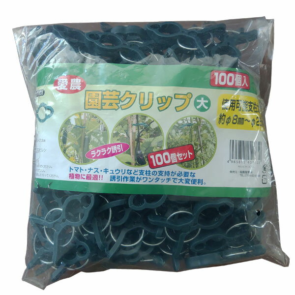 ���� ��ݥ���å� �� 100���� ��� ���쥯��å� Ͷ������å� ����åץԥ�� ����ٻ� ���Ȼ���