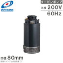 ツルミポンプ 水中ポンプ 水中タービンポンプ 3000-NTD2 80mm 60Hz/200V 給水ポンプ 農業用ポンプ